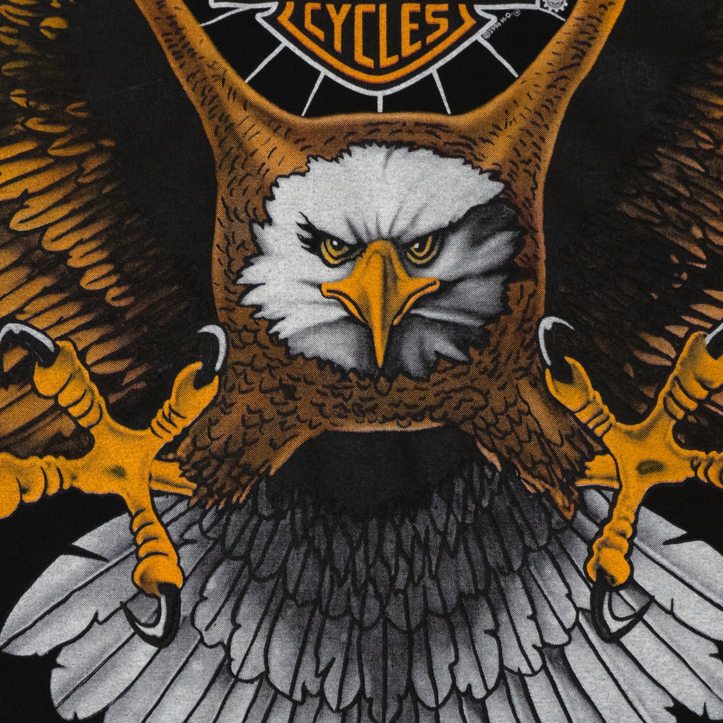 Harley Davidson Eagle