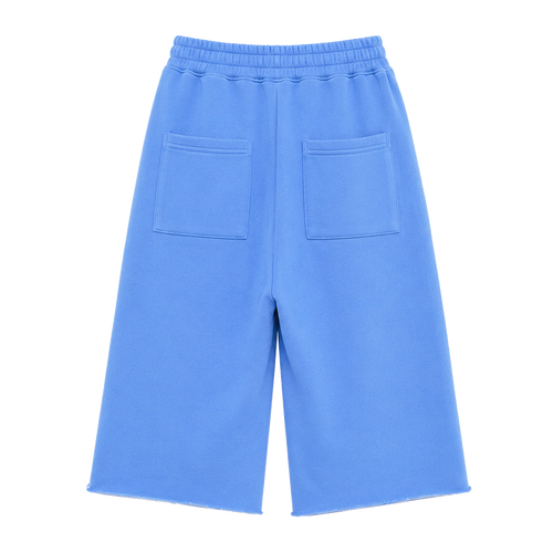 Blue Sweatshorts