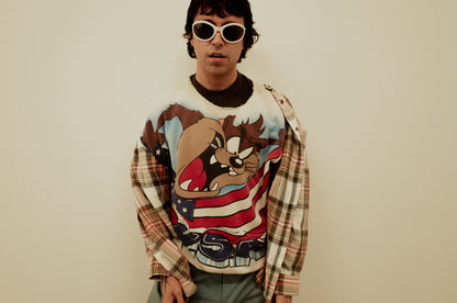 Taz Cropped Sweater